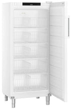 Liebherr Gastronomie Gefrier-Lagerschrank Statische Kühlung FFFsg 5501-40 001