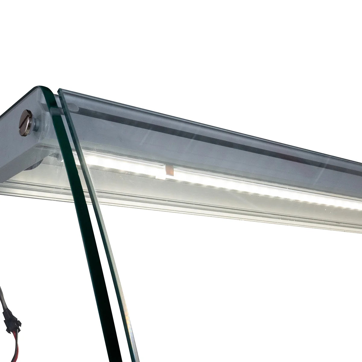 Kühltheke PROFI 150 - rundes Frontglas, 1525 mm, mit LED-Beleuchtung