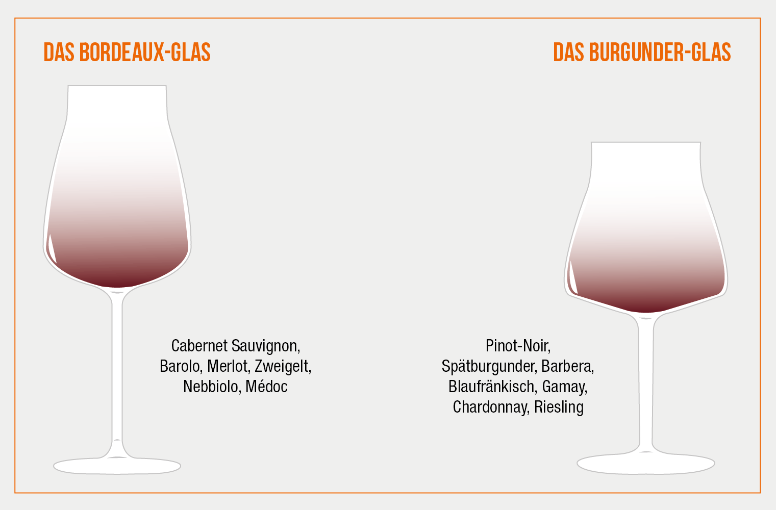 Das richtige Weinglas macht den Unterschied! CHEERS by GastroHero