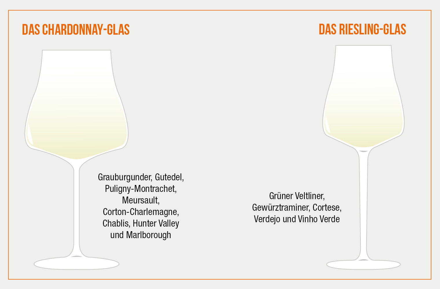 Das richtige Weinglas macht den Unterschied! CHEERS by GastroHero