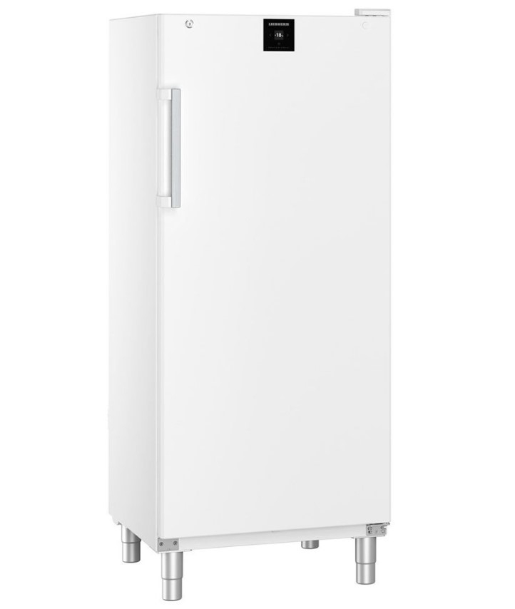 Gastro Liebherr Gastronomie Gefrier-Lagerschrank Statische Kühlung FFFsg 5501-40 001 | Gefrierschrank Edelstahl | Gewerbe Tiefkühlschrank